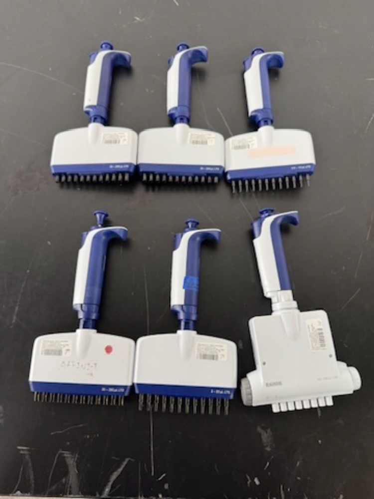 Image of Rainin Pipet-Lite XLS Multichannel Pipettes - Quantity 6